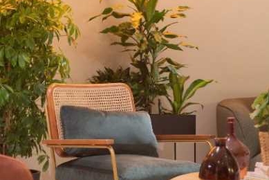 A LOUER autre 477m2 ref 1462083-0LCW1
