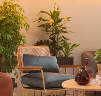 A LOUER autre 477m2 ref 1462083-0LCW1