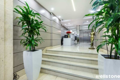 A LOUER Bureaux 238m2 ref 1224566-0L