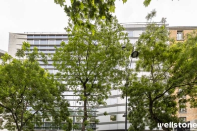 A LOUER Bureaux 253m2 ref 1454181-0L