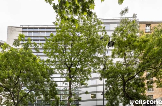 A LOUER Bureaux 253m2 ref 1454181-0L
